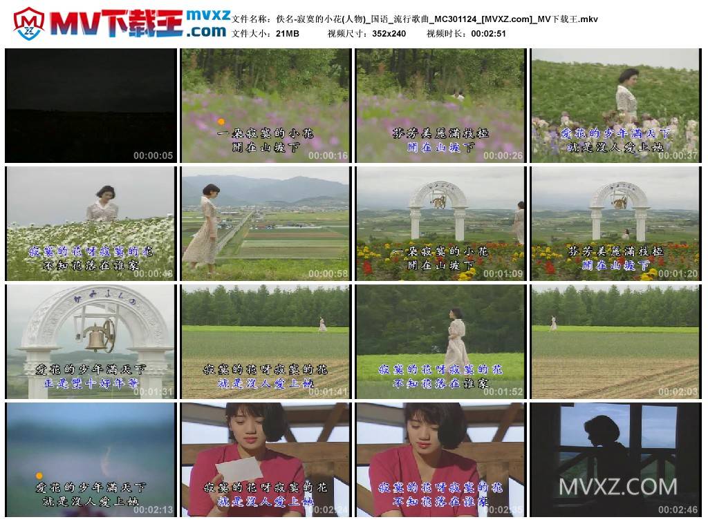 佚名-寂寞的小花(人物)_国语_流行歌曲_MC301124